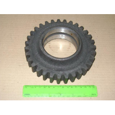 Шестерня КПП проміжна паразитна (ЮМЗ, Д-65) Z=31 40-1701146-А