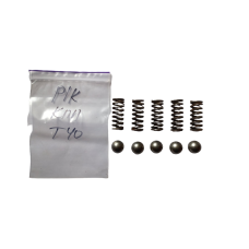 Р/к Ремкомплект КПП Т-40 (5 кульок + 5 пружниць)