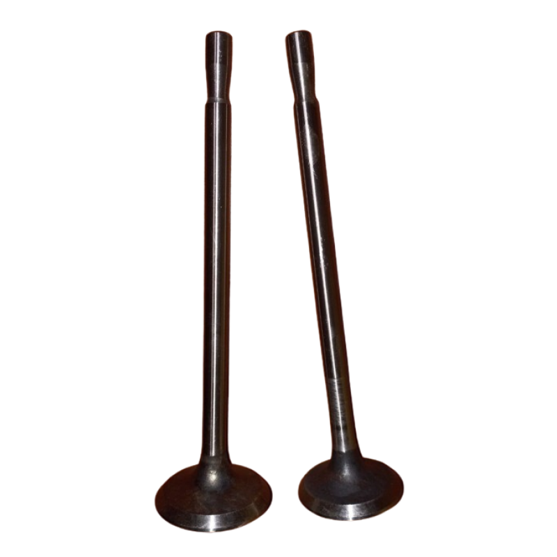 Клапан впускний + випускний (пара) Т-130 Д-160 14-02-32/33