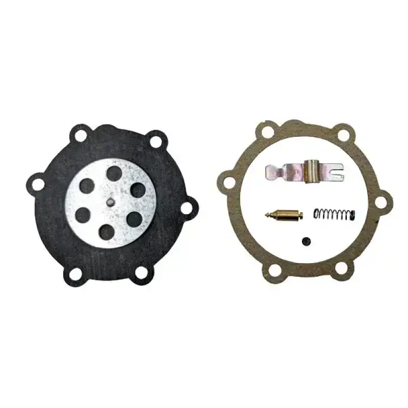 Р/к карбюратора П-10УД (з голкою)