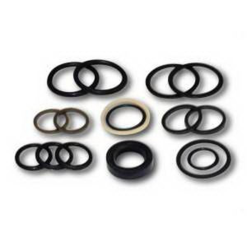 Р/к Ремкомплект гідроциліндра підйому і повороту ЦС-40 Т-16