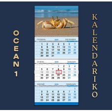 Календар квартальний на 2026 рік Океан-01