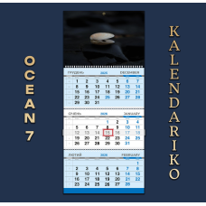 Календар квартальний на 2026 рік Океан-07