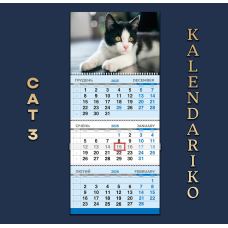 Календар квартальний на 2026 рік Котики-03