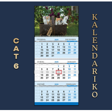 Календар квартальний на 2026 рік Котики-06